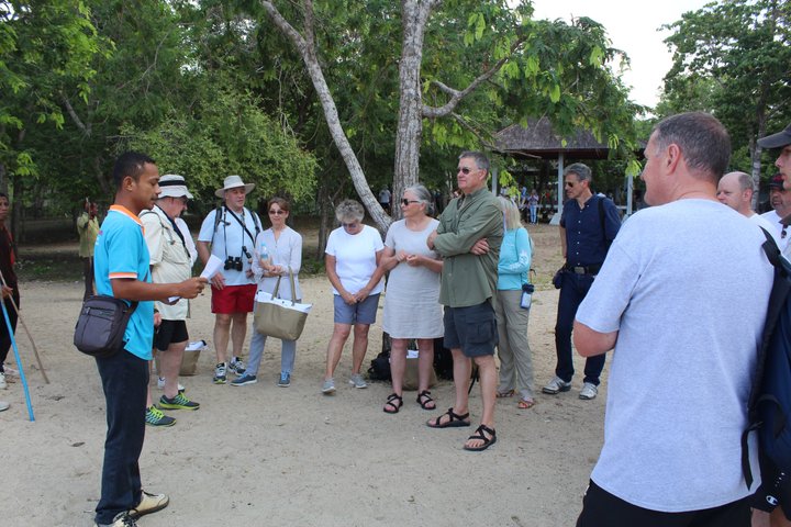Top Komodo Island Shore Tour for passengers of Cruise Ship