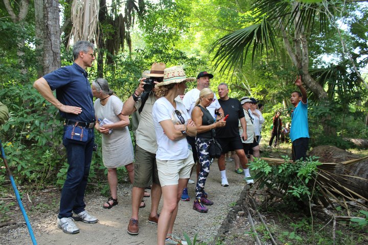 Top Komodo Island Shore Tour for passengers of Cruise Ship