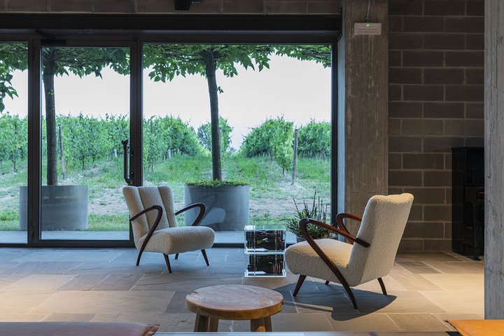 Wine Tour and Tasting of Lugana Wines near Sirmione