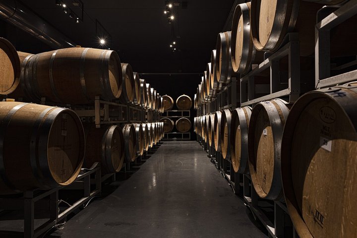 Wine Tour and Tasting of Lugana Wines near Sirmione