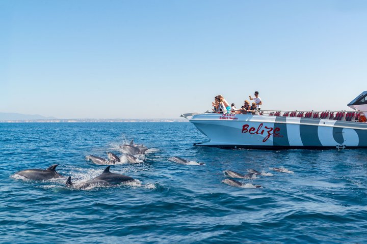 Portimao: Dolphins & Caves - Catamaran witn Marine Biologist