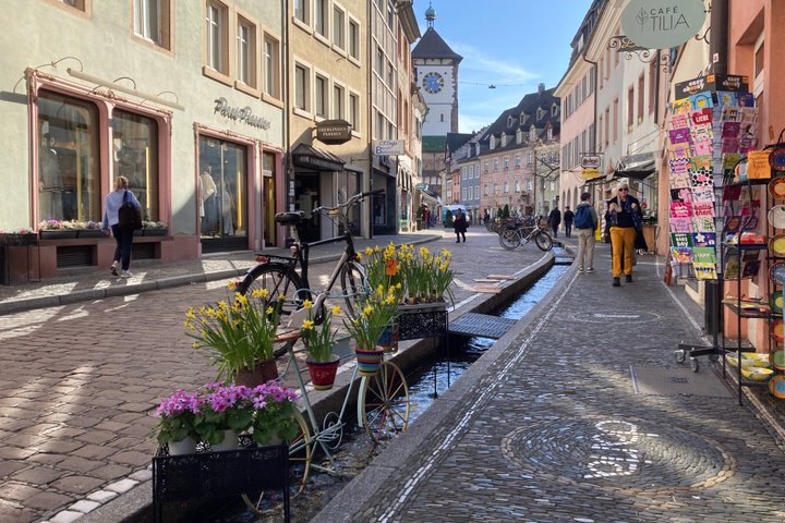 From Strasbourg Visit to the Black Forest in Triberg Titisee Freiburg