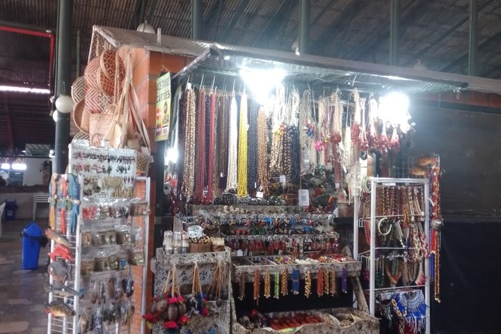 Private City-tour in the Historic Center of Manaus