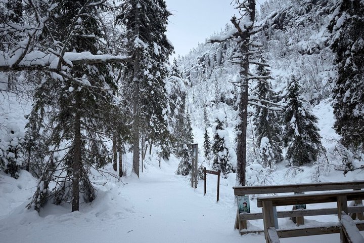 Rovaniemi to World's northernmost Roller Coaster Ruka + Korouoma