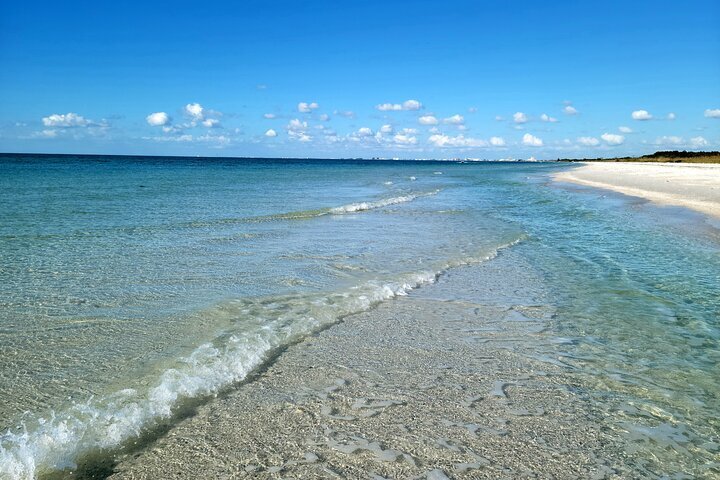 3 Hour Dolphin Snorkeling and Shell Key Adventure St. Pete Beach