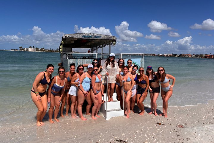 3 Hour Dolphin Snorkeling and Shell Key Adventure St. Pete Beach
