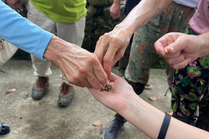 Tea Plantation Tour Village Experience & Cooking Class and Lunch