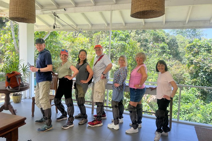 Tea Plantation Tour Village Experience & Cooking Class and Lunch