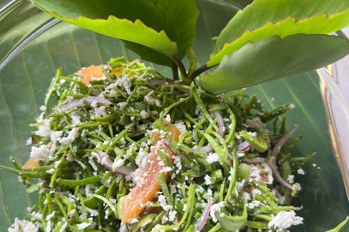 Tea Plantation Tour Village Experience & Cooking Class and Lunch