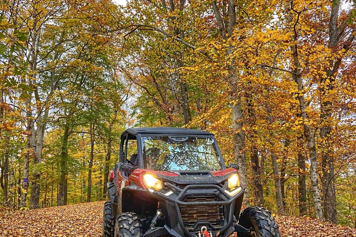 VIP 8 Hour Back Country Can-Am Experience