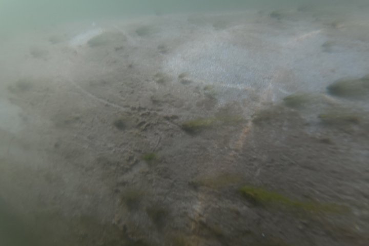 All-inclusive 6-person Manatee Swim Tour with Free Photos