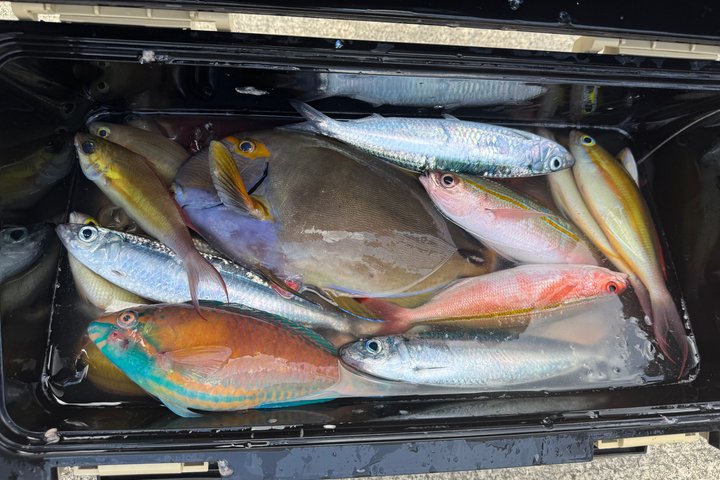 Authentic Okinawan Fishing Experience with Locals