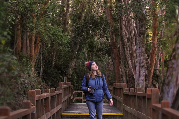 Unforgettable Patagonia Victoria Island and Arrayanes Forest