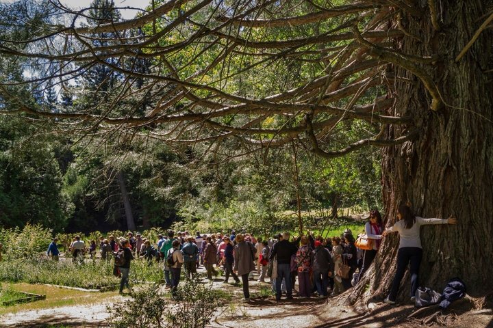 Unforgettable Patagonia Victoria Island and Arrayanes Forest