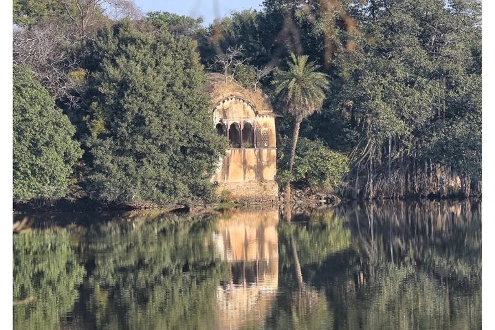 Ranthambore Safari Booking