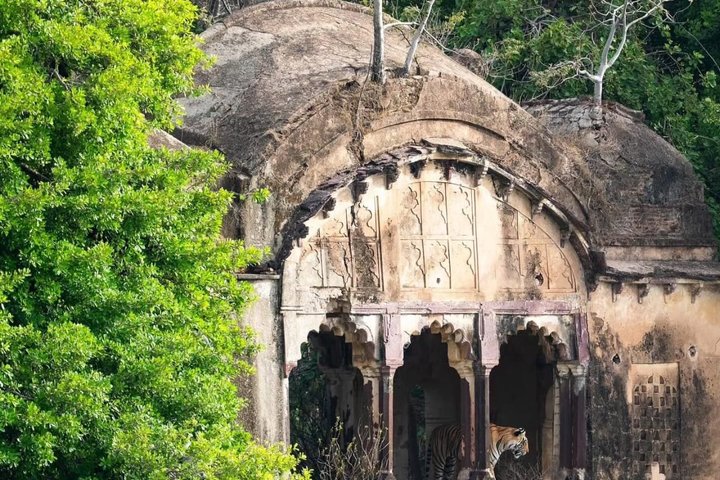 Ranthambore Safari Booking