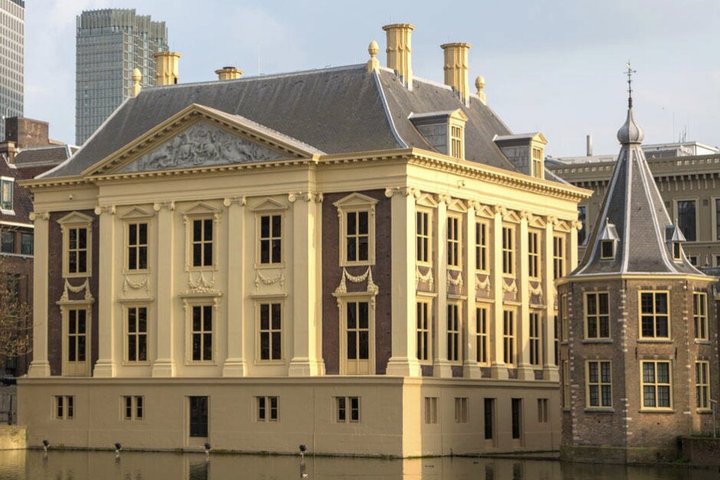 The Hague: Mauritshuis Private Tour with Art Historian