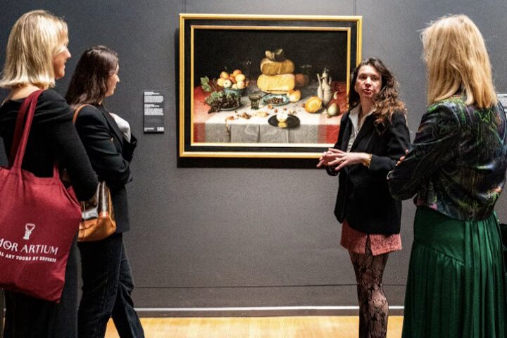 The Hague: Mauritshuis Private Tour with Art Historian