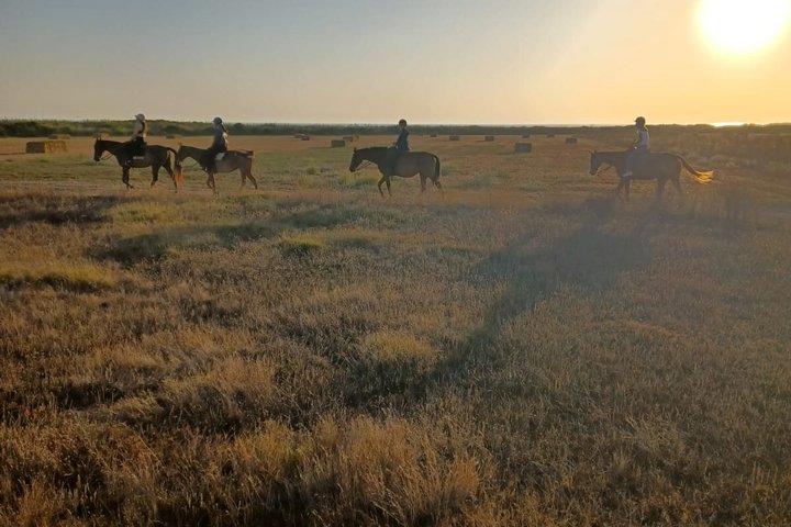 Stunning Sundown Beach Ride on horseback! MINIMUM 2 PARTICIPANTS