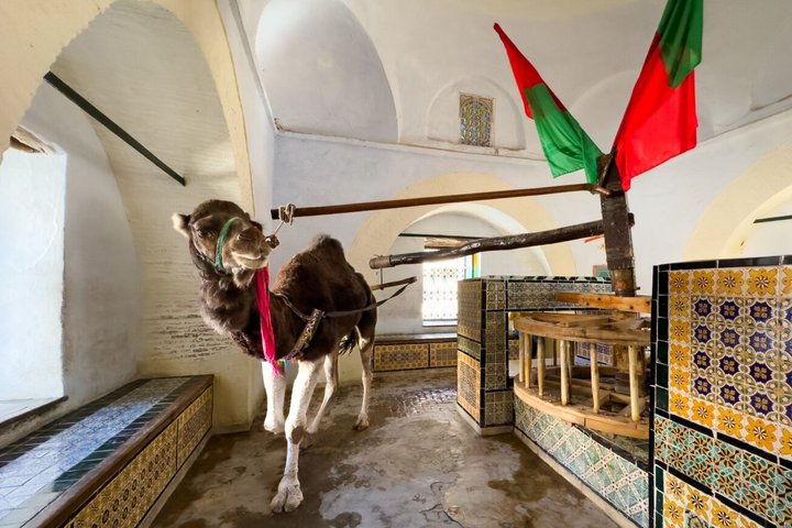 Private Luxury Tour: Kairouan, El Jem & Monastir or Sousse
