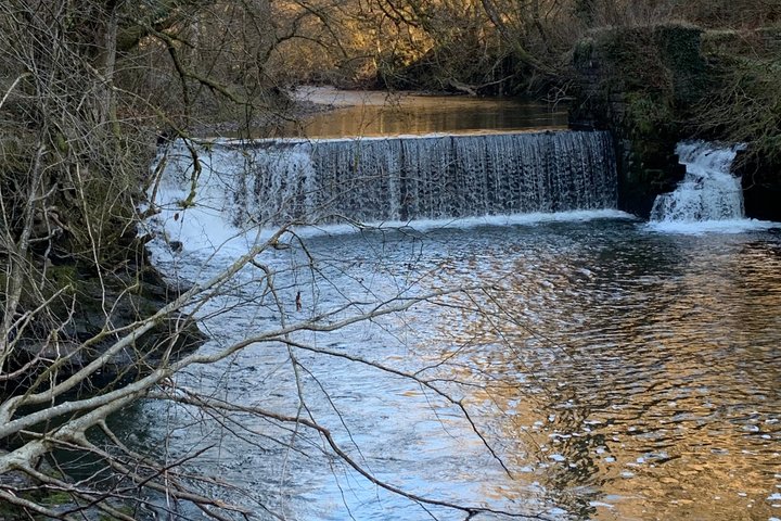Bushcraft Taster Session in South Wales