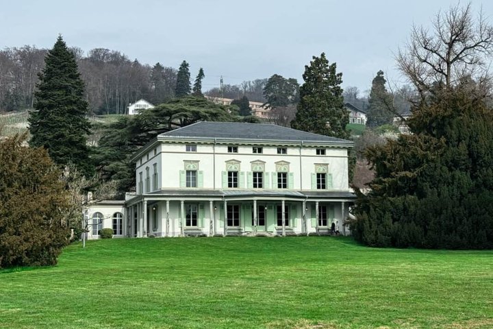 Private Day Trip from Montreux to Geneva and Vevey