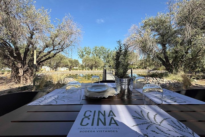 Wine Tour, Paired Lunch and Olive Oil Tasting from Mendoza