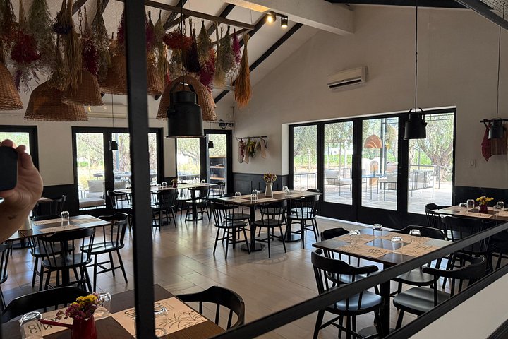 Wine Tour, Paired Lunch and Olive Oil Tasting from Mendoza