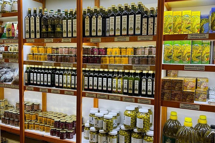 Wine Tour, Paired Lunch and Olive Oil Tasting from Mendoza