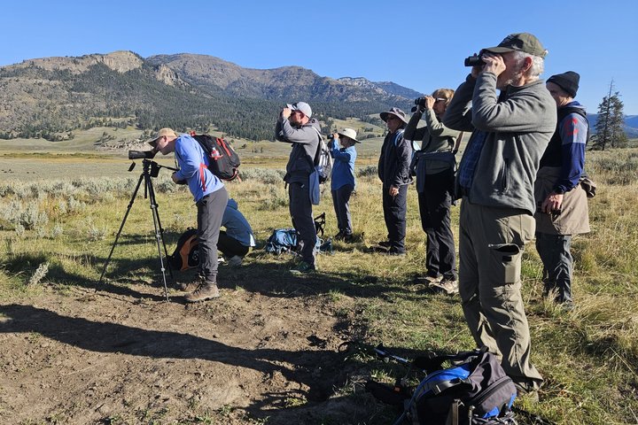 Lamar Valley Safari Hiking Tour with Lunch
