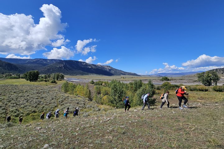 Lamar Valley Safari Hiking Tour with Lunch
