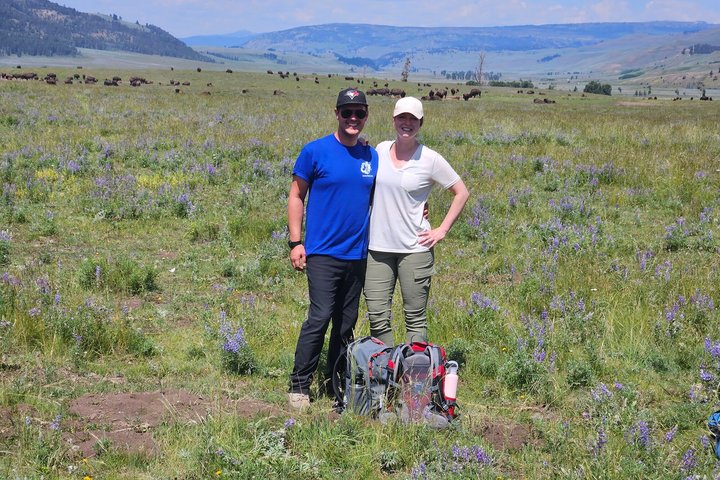 Lamar Valley Safari Hiking Tour with Lunch