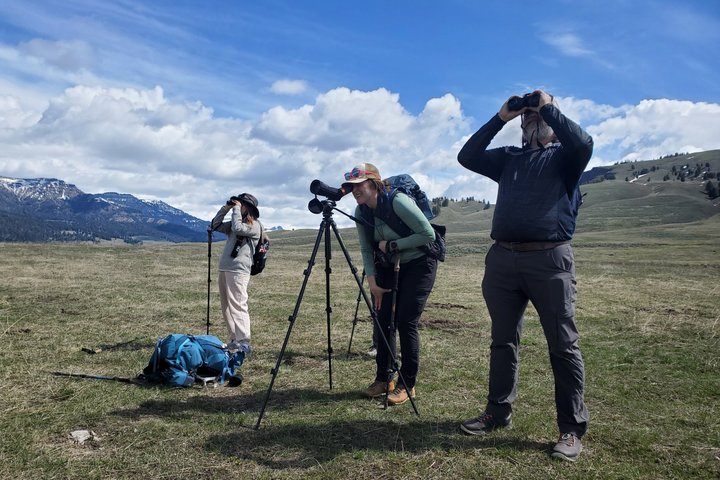 Lamar Valley Safari Hiking Tour with Lunch