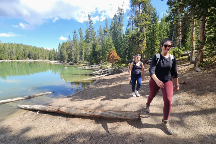 Grand Canyon of the Yellowstone Rim and Loop Hike with Lunch