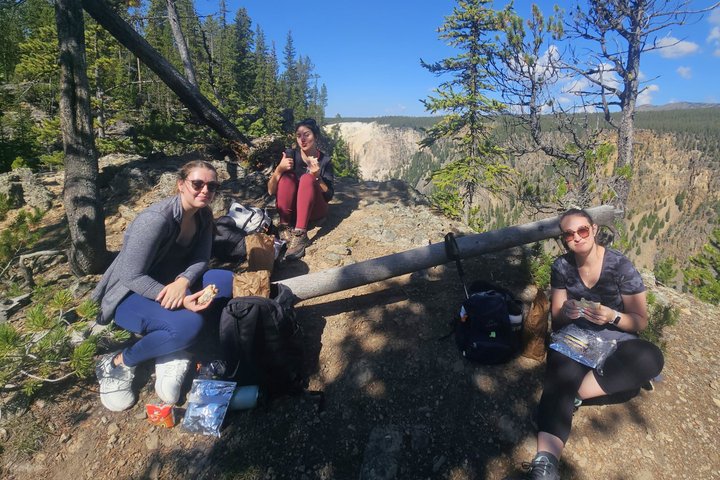 Grand Canyon of the Yellowstone Rim and Loop Hike with Lunch