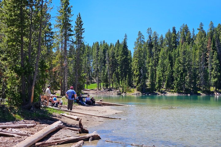 Grand Canyon of the Yellowstone Rim and Loop Hike with Lunch