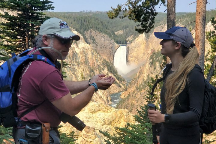 Lower Loop Van Tour from West Yellowstone: Grand Prismatic and Old Faithful