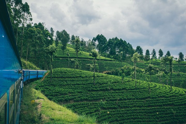 From Kandy: Odyssey First Class Scenic Train Ticket to Ella
