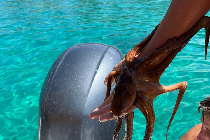 Ksamil Boat Tour Private Experience With Swim And Snorkeling