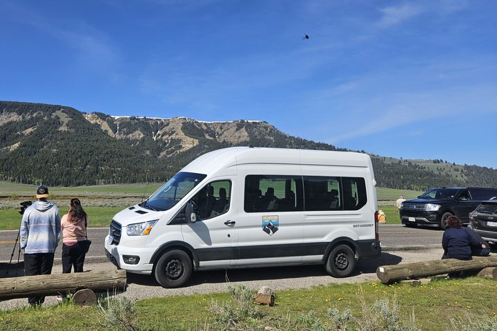 Upper Loop Tour and Lamar Valley from West Yellowstone with Lunch