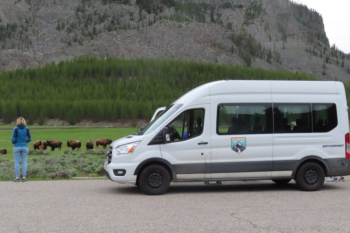 Upper Loop Tour and Lamar Valley from West Yellowstone with Lunch