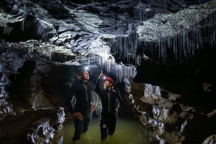 Okohua Glowworm Cave Tour