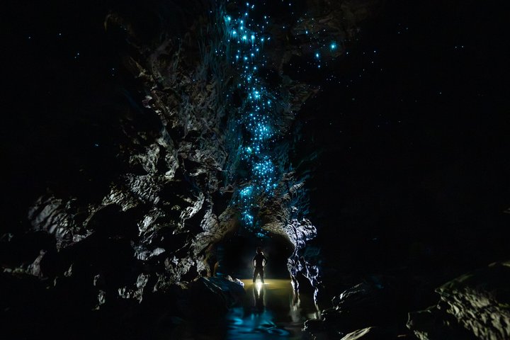 Okohua Glowworm Cave Tour