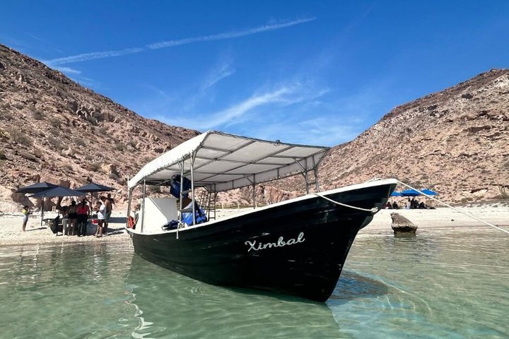 Isla Espiritu Santo and Balandra All Inclusive Tour