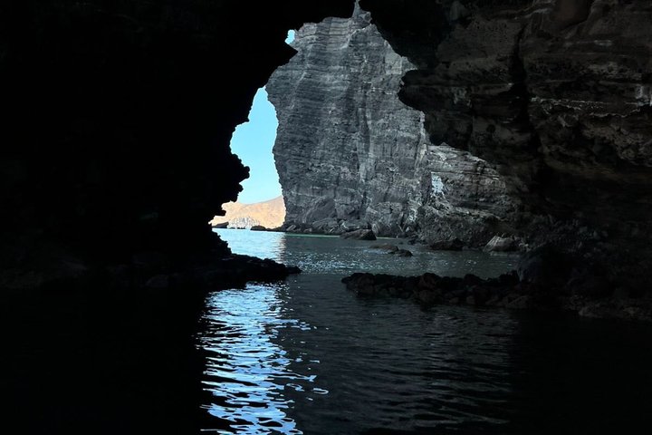 Isla Espiritu Santo and Balandra All Inclusive Tour
