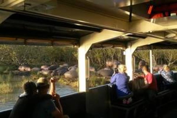 Hippo and Croc Boat Cruise in St Lucia Estuary Kwazulu Natal