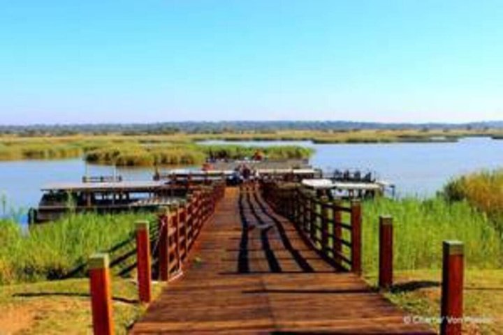 Hippo and Croc Boat Cruise in St Lucia Estuary Kwazulu Natal