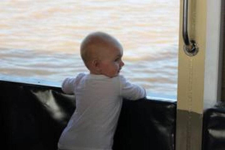 Hippo and Croc Boat Cruise in St Lucia Estuary Kwazulu Natal