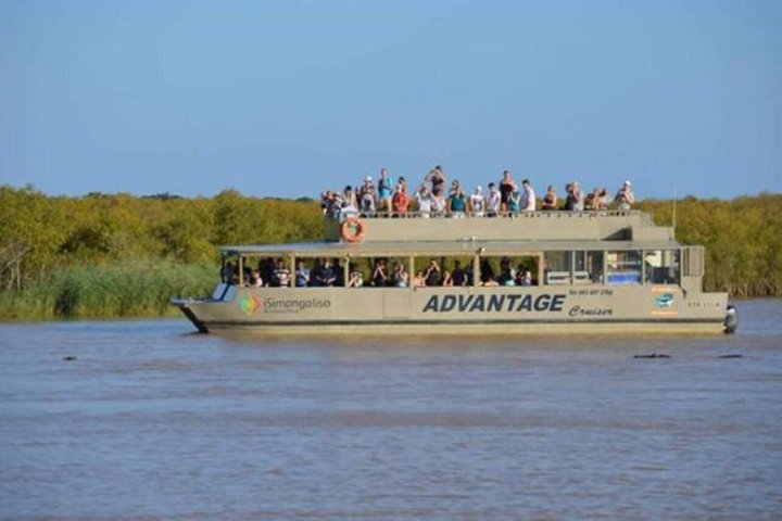 Hippo and Croc Boat Cruise in St Lucia Estuary Kwazulu Natal