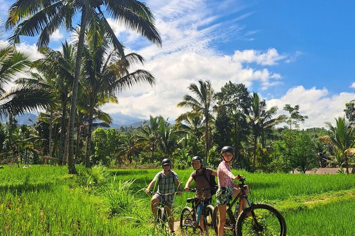 Tetebatu Private Trek Rice Fields Waterfall and Monkey Forest